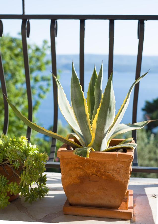 Villa Anima, Stanici, Near Omis Eksteriør billede